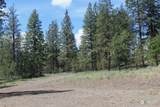 0 Lot 3 Badger Sontag Ridge - Photo 7