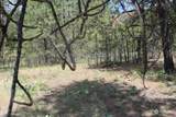 0 Lot 3 Badger Sontag Ridge - Photo 8