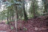 18700 64TH Way - Photo 9