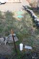31710 J Place - Photo 7