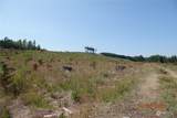 1068 Salmon Creek Rd - Photo 25