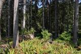 1068 Salmon Creek Rd - Photo 26