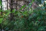 1068 Salmon Creek Rd - Photo 29