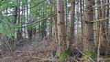 4492 Sweet Road - Photo 19