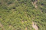 0 Cedar Mist Road - Photo 9