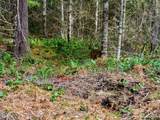 3 Lahar Lane - Photo 12