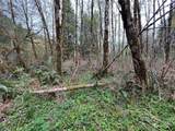 0 Lot 3 Abernathy Creek Road - Photo 11