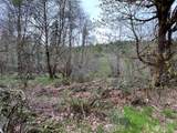 0 Lot 3 Abernathy Creek Road - Photo 13