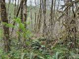0 Lot 3 Abernathy Creek Road - Photo 7