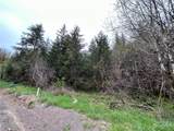 0 Lot 4 Abernathy Creek Road - Photo 8