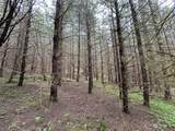0 Lot 4 Abernathy Creek Road - Photo 10