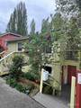 3843 22nd Avenue - Photo 2