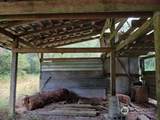409 Reinke Road - Photo 35