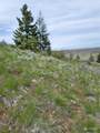 98 Tyee View Loop Rd - Photo 12