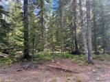 1650 Stampede Pass Road - Photo 7