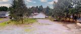 753 Island Circle - Photo 5