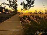 23808 183 Sequoia Street - Photo 24