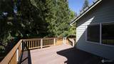 1610 Fox Hollow - Photo 29