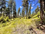 0 TBD Old Kettle Falls Road - Photo 18