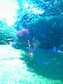 2342 Hawk Drive - Photo 35