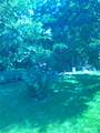 2342 Hawk Drive - Photo 37