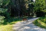 22910 Lake Wenatchee Highway - Photo 35