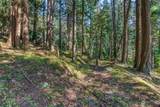 91 Tall Trees Trail - Photo 28