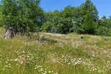 444 Elk Creek Road - Photo 28