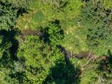1247 Bunker Creek Road - Photo 8