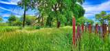 710 Anderson Rd - Photo 12