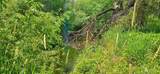 710 Anderson Rd - Photo 18