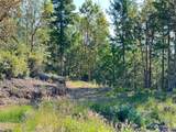 2 XXXX Mt Jupiter Road - Photo 18