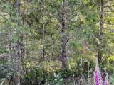 2 XXXX Mt Jupiter Road - Photo 29