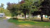 126 Chapman Street - Photo 3