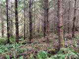 217 XX Thompson Creek Road - Photo 2