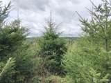 217 XX Thompson Creek Road - Photo 12
