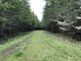 217 XX Thompson Creek Road - Photo 5