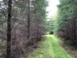 217 XX Thompson Creek Road - Photo 6