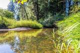 9005 Woods Creek Road - Photo 11
