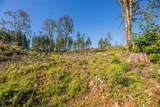 9005 Woods Creek Road - Photo 15