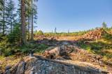 9005 Woods Creek Road - Photo 16