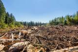 9005 Woods Creek Road - Photo 17