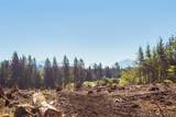 9005 Woods Creek Road - Photo 6