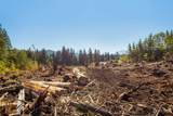 9005 Woods Creek Road - Photo 7