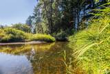 9005 Woods Creek Road - Photo 10