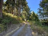 2068 Taylor Cutoff Road - Photo 39