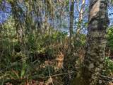 41 Barber Road - Photo 31