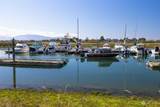 4273 Saltspring Drive - Photo 8