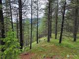 2510 San Poil Road - Photo 24