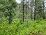 2510 San Poil Road - Photo 32